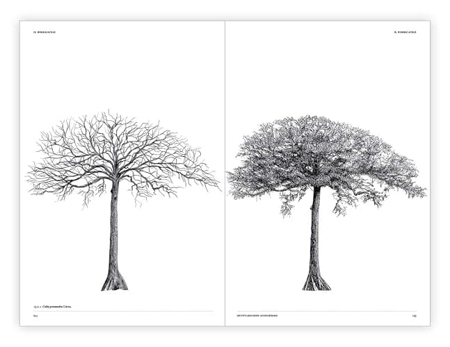 The Architecture of Trees thumbnail 12