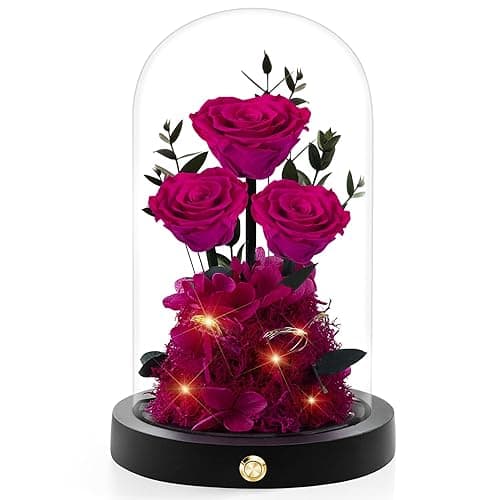 Agrul Flowers Roses Gifts for Mom,Forever Real Preserved Roses in Glass Dome,Mothers Day for Wife Girlfriend Women Best Friend Grandma/Rose - Rose