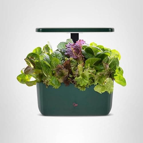 AeroGarden Harvest Lite in Green, Soil-Free Indoor Hydroponic Garden with LED Grow Light for Year-Round Gardening of up to 6 Herbs and Vegetables thumbnail 10