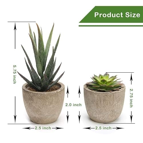 Coitak Artificial Succulent Plants Potted, Assorted Decorative Faux Succulent Potted Fake Cactus Cacti Plants with Pots, Set of 5 thumbnail 3