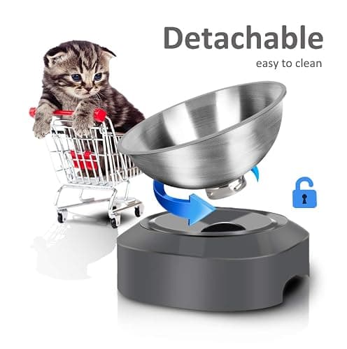 AYADA Raised Cat Food Bowl, Stainless Steel Cat Dish for Food Water Anti Vomiting Elevated with Stand Ergonomic Lifted Slanted Tilted 15 Angle Metal Single Kitty Kitten Wet Food Bowl Pet Bowl thumbnail 5