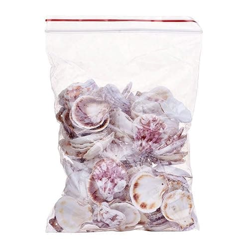 KISSITTY 500 Grams Dyed Scallop Beach Sea Shell Beads with Holes 1.53-1.77" (39-45mm) Length for DIY Jewelry Making Art Craft Projects-Bag of Approx. 90pcs - Mixed Colors#Shell Shape thumbnail 8