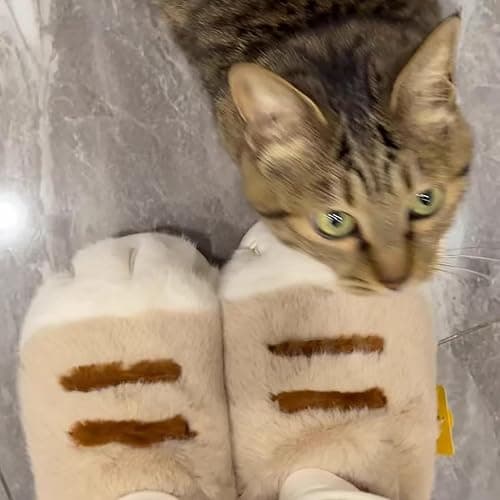 Plush cat paw slippers，non-slip soles, cozy and cute slippers thumbnail 2