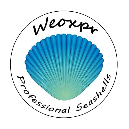 WEOXPR 2000 Pcs Tiny Sea Shells for Craft, Mixed Ocean Beach Mini Seashells | 2000 tiny sea shells, mini seashells bulk, mixed ocean shells, crafting, DIY, fish tank, vase decor thumbnail 9