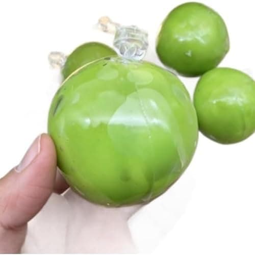 2 PCS Wax Cracking Squishy - Wax Cracking Squishy for Asmr, Crispy Stress Balls, Soft Gel Fidget Toy with Crackable Texture, for Asmr (Green) thumbnail 5