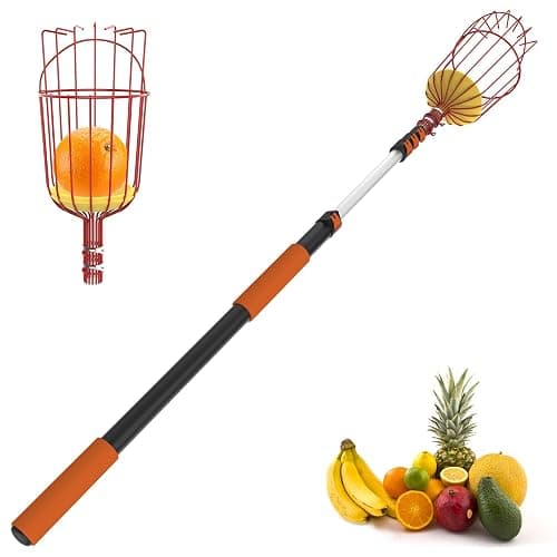 SISIUPASSIE 26FT Reach Fruit Picker, Apple Picker Pole with Basket Telescoping Tool for Apple Lemon Orange Mango Avocado Fruit Tree Picking - Image 1