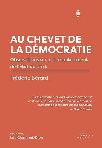 Au chevet de la démocratie: Observations sur le démantèlement de l'État de droit - Image 1
