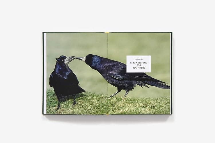 The Backyard Birdwatcher's Bible: Birds, Behaviors, Habitats, Identification, Art & Other Home Crafts (The Backyard Naturalist Series) thumbnail 6
