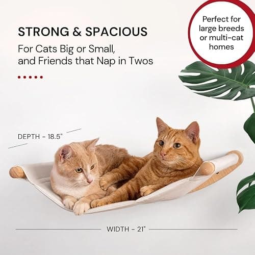 7 Ruby Road Cat Hammock Wall Mounted Shelf with Two Steps Set - Wall Shelves and Perches for Sleeping, Playing, Climbing and Lounging - Modern Cat Bed & Furniture for Indoor and Large Cats or Kitty thumbnail 3