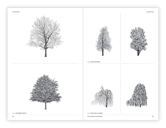 The Architecture of Trees thumbnail 10