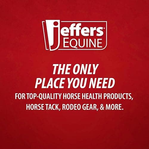 Jeffers Expression Protective Horse Boots 1 Pair, Party Cheetah- Safe Neoprene Leg Guards, Comfortable Fit, Durable Strap Closures, Front & Hind Support, Accessories for Travel & Riding - Large thumbnail 5