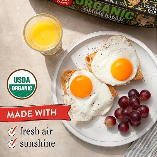 Vital Farms Organic Pasture-Raised Large Eggs 12ct thumbnail 2
