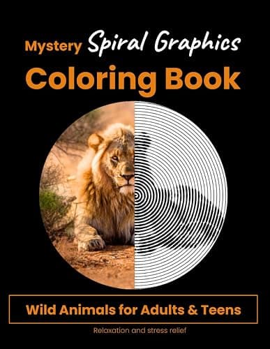 Mystery Spiral Graphics Coloring Book - Image 1