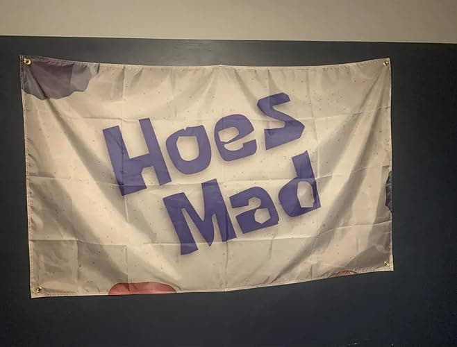 Probsin Hoes Mad Flag,3x5 Feet Banner,Funny Poster UV Resistance Fading & Durable Man Cave Wall Flag with Brass Grommets for College Dorm Room Decor,Outdoor,Parties,Gift,Tailgates thumbnail 2