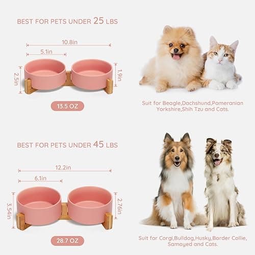 SPUNKYJUNKY Ceramic Dog and Cat Bowl with Wood Stand Non-Slip Matte Glaze Weighted Food Water Set for Cats &Small Dogs 13.5 OZ thumbnail 4