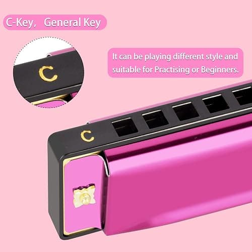 EastRock Blues Harmonica Mouth Organ 10 Hole C Key with Case, Diatonic Harmonica for Professional Player, Beginner, Students gifts, Adult, Friends, Gift(Pink）) thumbnail 4
