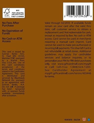 Visa $25 Gift Card (plus $3.95 Purchase Fee) thumbnail 2