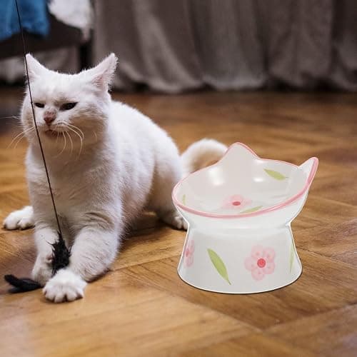 Zerodeko Ceramic Elevated Cat Bowl with Tilted Design 4.5 Inch Raised Pet Feeding Dish for Comfortable Neck Positioning Non-Slip Base Suitable for Small Cats and Dogs thumbnail 8