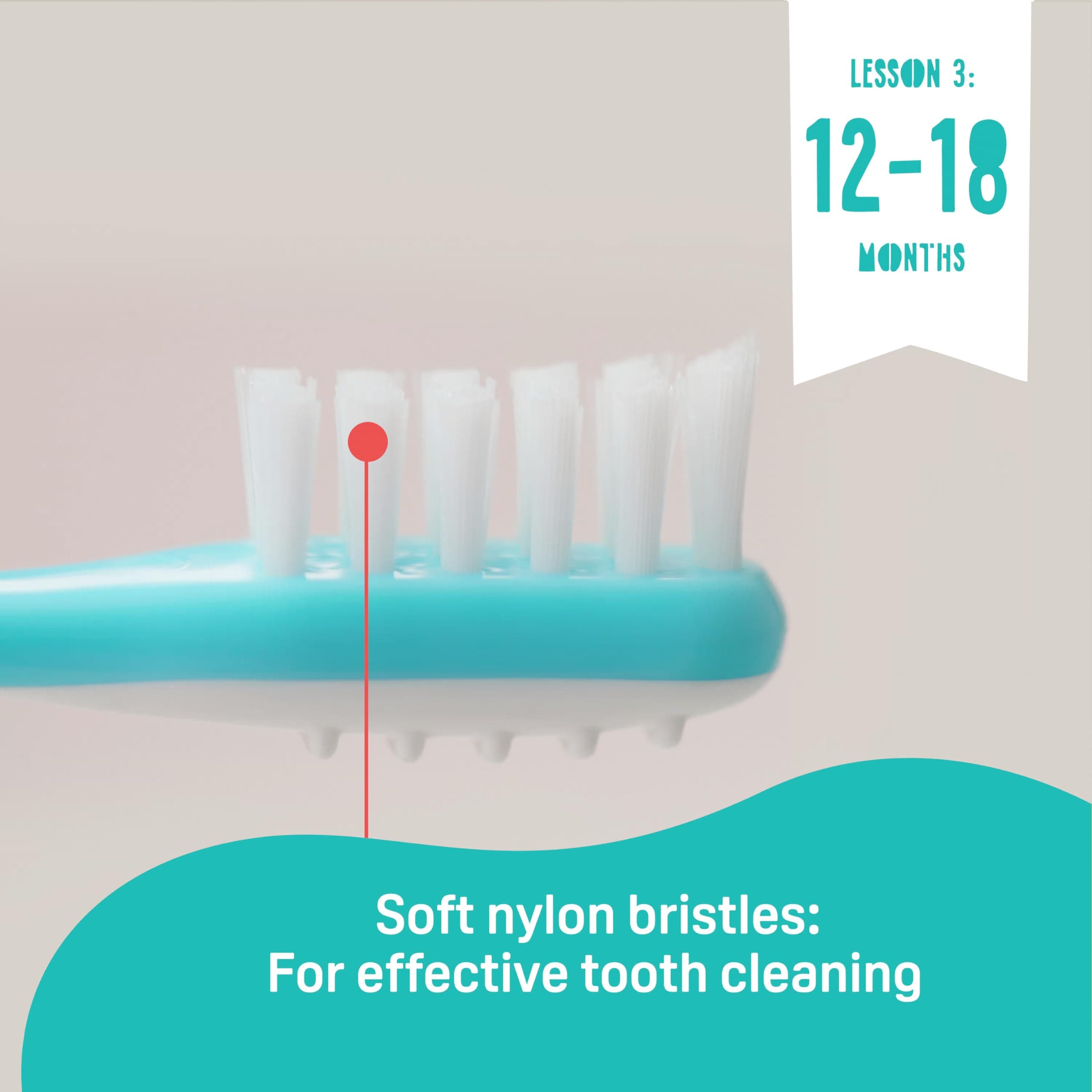 Pigeon 3-Step Training Toothbrush Set for Each Stage of Your Baby's Oral Development, 3-Pack thumbnail 5
