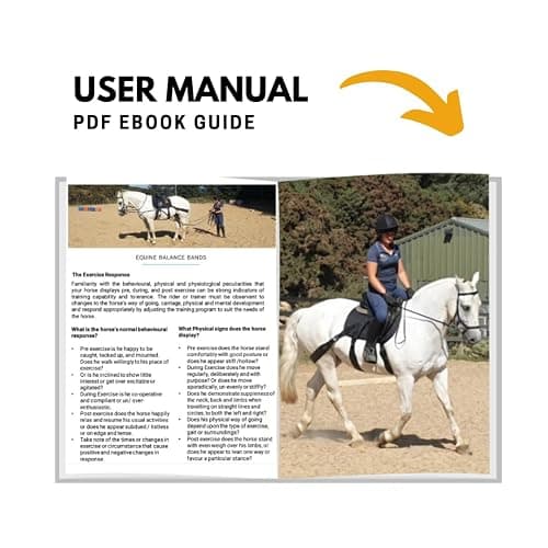 Equine Balance Bands Equine Band System - Core Training Aid for Horses. Saddle Pad and Equibands System thumbnail 6