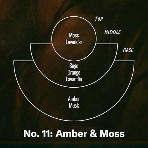 P.F. Candle Co. Amber & Moss Classic Standard Scented Soy Wax Candle (7.2 oz) 40-50 Hour Burn Time, Cotton Wick, Amber Glass Jar - 7.2 oz - Amber & Moss thumbnail 3