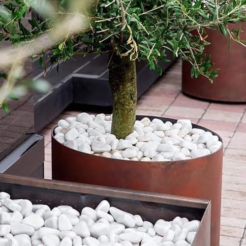 YISZM 5lb White Pebbles for Indoor Plants, 1-2 Inch Natural River Rocks, Snow White Decorative Stones, Ideal for Fish Tank, Vases, Crafting, Home Decor and Garden Landscaping Rocks thumbnail 4