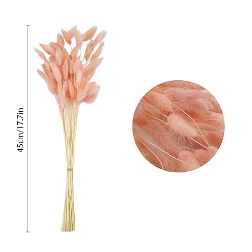 Uieke 17’’ Natural Bunny Tails Dried Flowers, 120 Pcs Dried Lagurus Ovatus, Dried Pink Pampas Grass Decor for Farmhouse Flower Arrangements Wedding Home Boho Party Decorations thumbnail 3