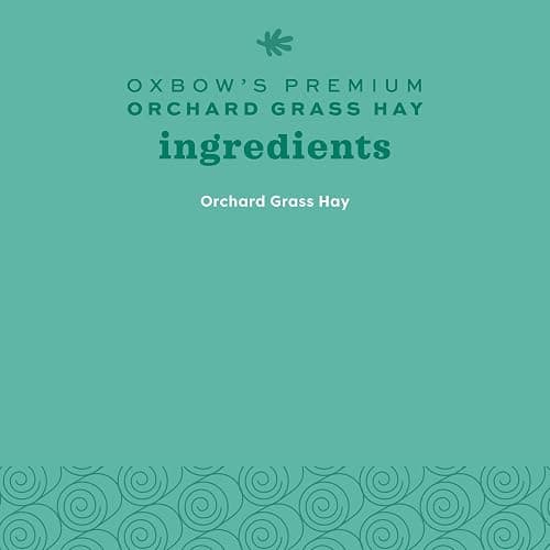 Oxbow Animal Health Orchard Grass, Guinea Pig Hay, Rabbit Hay, Small Pet Bunny Supplies, All Natural Grass for Guinea Pig, Bunny, Chinchilla & Hamster, Oxbow Rabbit Supplies for Bunnies, 9 lb. box thumbnail 12