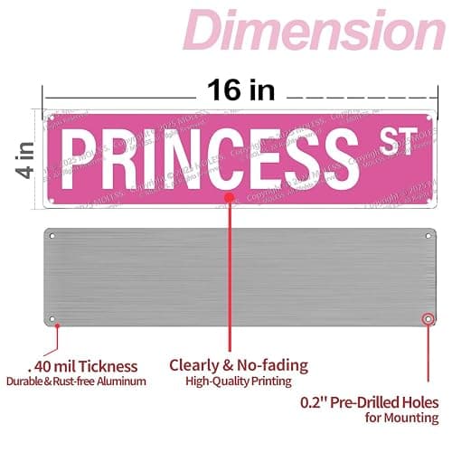 MOLESS 16x4″ Princess Street Sign, Princess Room Decor, Pink Y2K, 2482 | Princess Wall Decor & Decorations; Cute Pink Street Sign Poster; Girly Bedroom, Dorm & Apartment Decor; Teen Room Accessories thumbnail 3