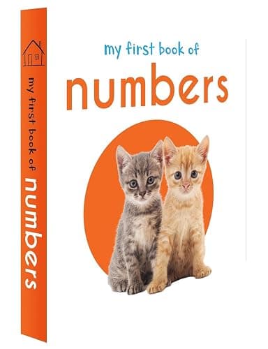 My First Library: Boxset of 10 Board Books for Kids thumbnail 5