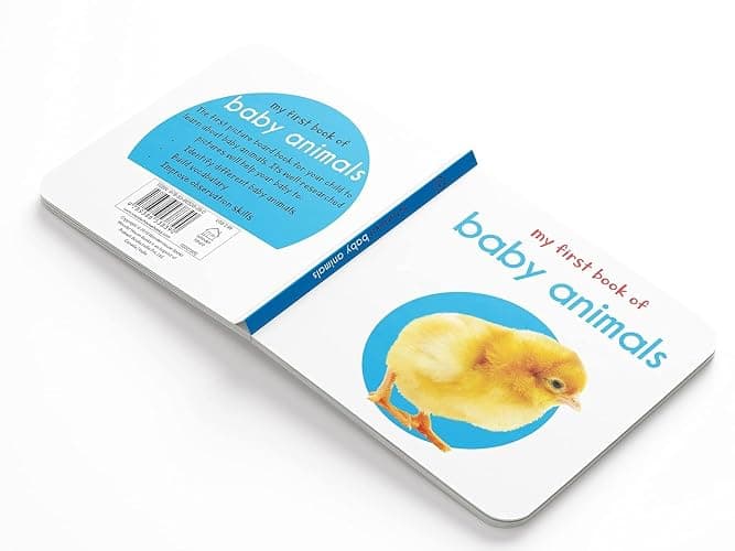My First Library: Boxset of 10 Board Books for Kids thumbnail 7