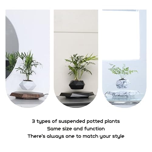 MOOCCI Levitating Plant Pot Floating Plant Potted Plant, Ideal Home Gift for Father's Day, Classmates for Halloween, Thanksgiving, Christmas thumbnail 9