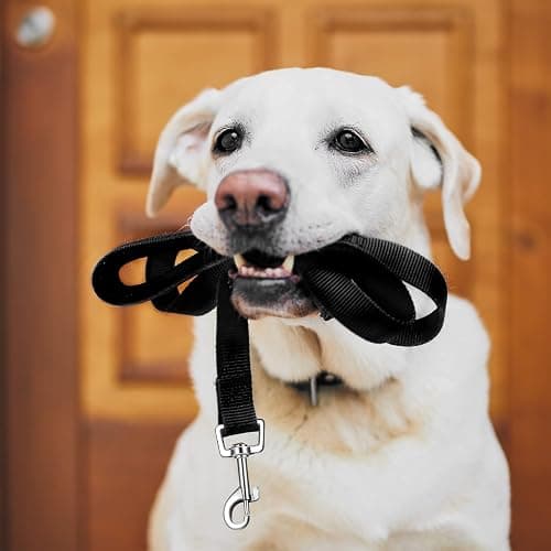 12 Pieces Long Training Leash for Dogs Bulk Nylon Puppy Chain Leash for Small Medium Large Dogs 3/4 Inch Puppy Traction Rope for Training Playing Camping Backyard (5 Feet) thumbnail 7