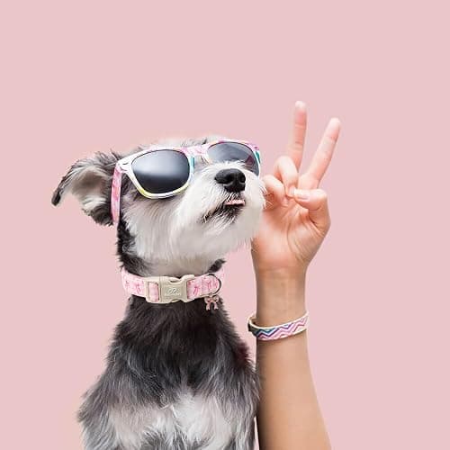 Babole Pet Girl Dog Collar for Small Dogs - Cute Pink Plaid & Bow Print Spring/Summer Puppy Collar, Soft Adjustable Holiday Female Dog Collars with Quick Release Buckle S thumbnail 6