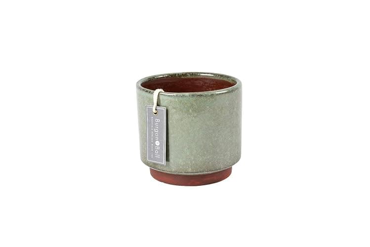 Burgon & Ball Malibu Indoor Pot, Medium, Green - Image 1