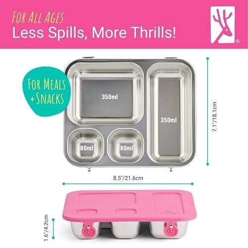 Elk and Friends Kids Stainless Steel Bento Box with Silicone Lid | Leak-Proof | Toddler Lunch Container | 4 Compartments | Dishwasher Safe thumbnail 3