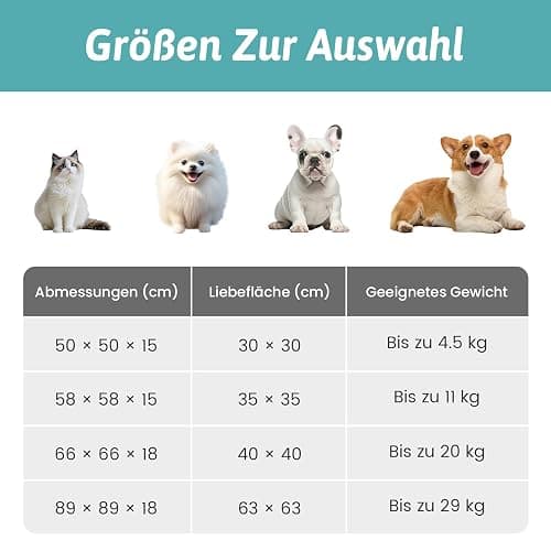 COZY KISS Katzenbett mit Decke 50x50x15cm - Flauschige Kleine Katzenhöhle - Kissen, Runde kleine Hundebett mit Rutschfester Unterseite, Katzensofa mit Kopfstütze aus Kunstfell, Waschbares, Creme thumbnail 2