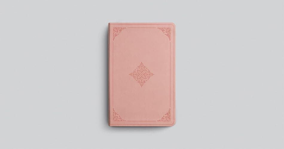 ESV Large Print Value Thinline Bible (TruTone, Pink, Fleur-de-lis Design): Holy Bible, English Standard Version - Image 1