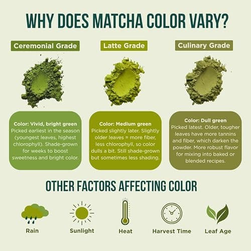 Jade Leaf Matcha Organic Café Style Sweetened Matcha Latte Premium Barista Crafted Mix - Original - Authentically Japanese (5.3 Ounce Pouch) thumbnail 6