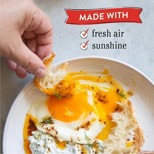 Vital Farms Pasture-Raised Large Eggs 6ct thumbnail 2