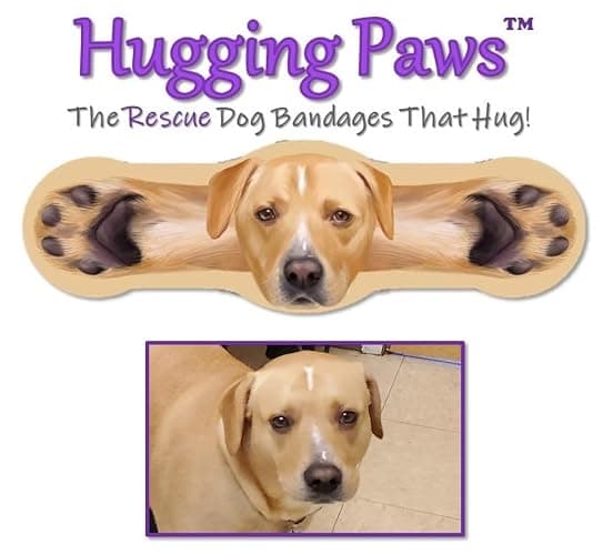 Hug-a-BooBoo Adorable Dog Bandages - Unique Rescue Dog Paintings! 24 Ct Mix (French Bulldog, Poodle, Lab) thumbnail 3