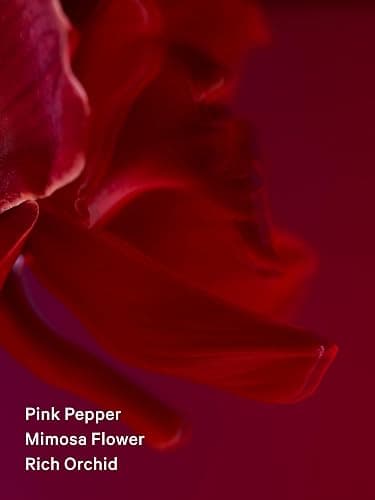 Victoria's Secret Very Sexy Eau de Parfum, Notes of Vanilla Orchid, Sun-Drenched Clementine & Wild Blackberry, Perfumes for Women (1.7 oz) thumbnail 5