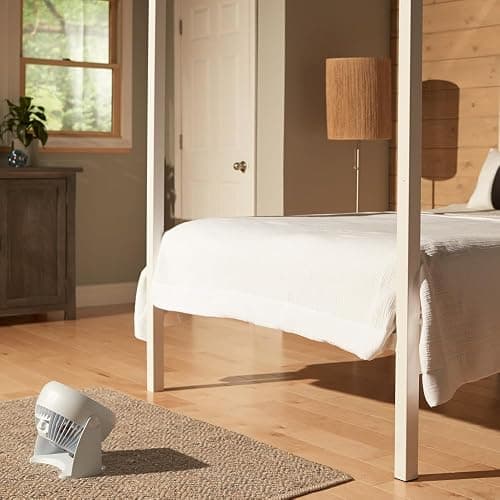 Honeywell HT-904 TurboForce Tabletop Air Circulator Fan, Small, White – Quiet Personal Fan for Home or Office, 3 Speeds and 90 Degree Pivoting Head - White thumbnail 2