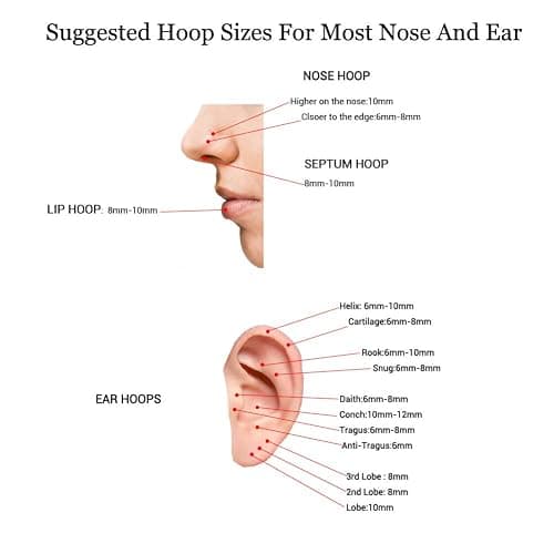 HQLA 16G Surgical Steel Hinged Clicker Segment Nose Rings Hoop Helix Cartilage Daith Tragus Sleeper Earrings Body Piercing for women 6mm 8mm 10mm 12mm 14mm thumbnail 4