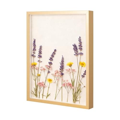 DEMAIKE 16x20 Shadow Box Frame Display Case with Real Glass, 3D Picture Frame for Memorabilia, Crafts, Photos, Wedding (Gold) - Image 1