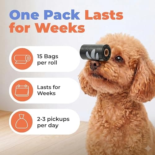 Best Pet Supplies Poop Bags for Dogs - Black, 150 Count | Scented, Leak-proof, Easy-Tear perforations, 15 Thick Bags per roll, Outdoor Walking & Travel, Fits Standard Holders thumbnail 6
