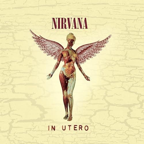 In Utero - Image 1