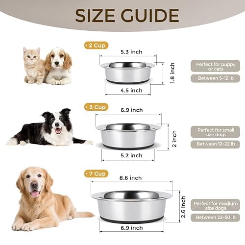 dog bowl thumbnail 4