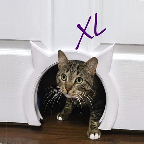 Cat Door thumbnail 2