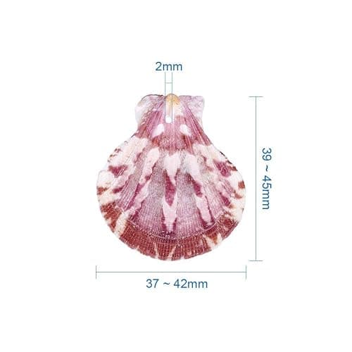 KISSITTY 500 Grams Dyed Scallop Beach Sea Shell Beads with Holes 1.53-1.77" (39-45mm) Length for DIY Jewelry Making Art Craft Projects-Bag of Approx. 90pcs - Mixed Colors#Shell Shape thumbnail 2